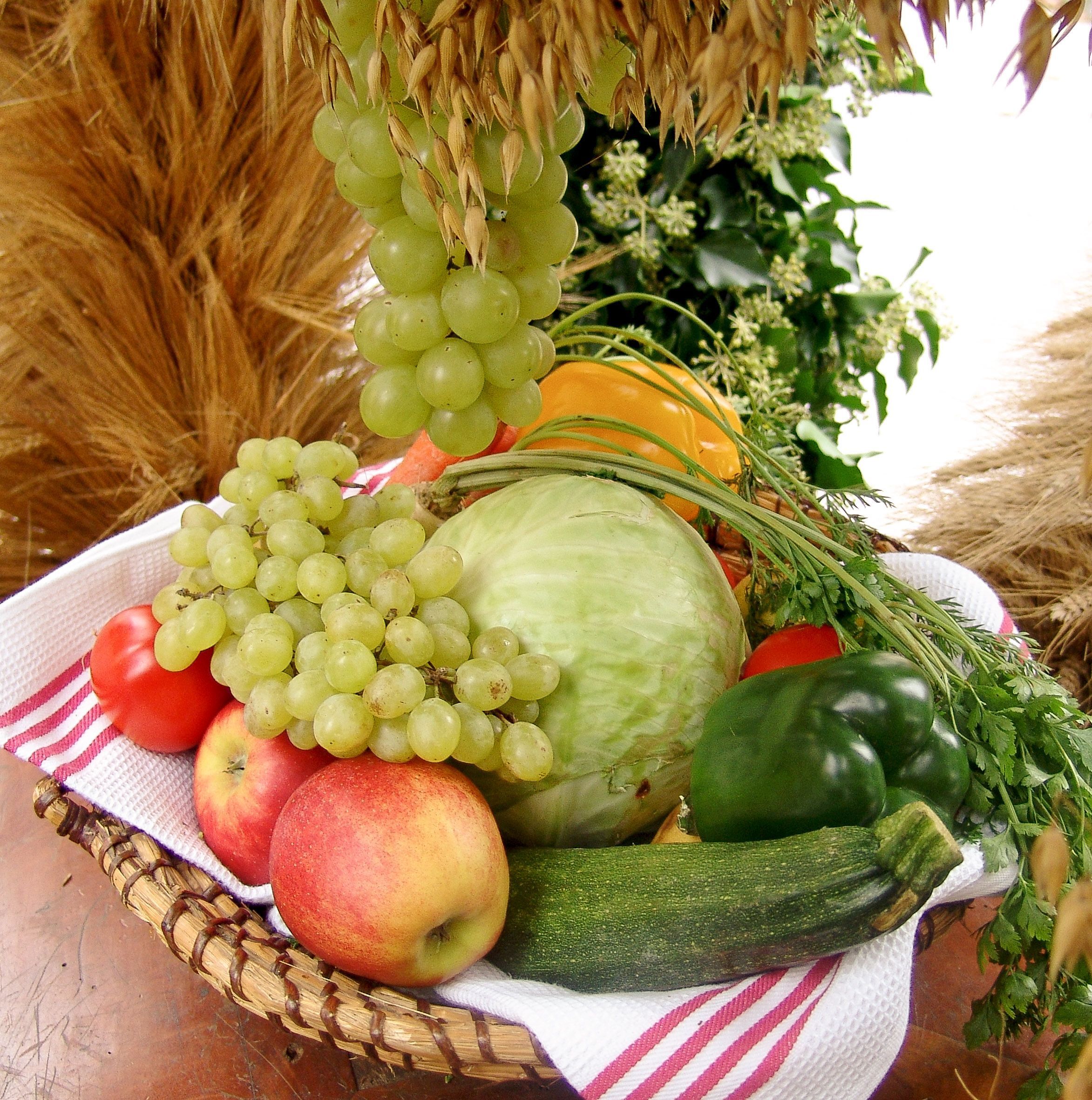 Früchtekorb